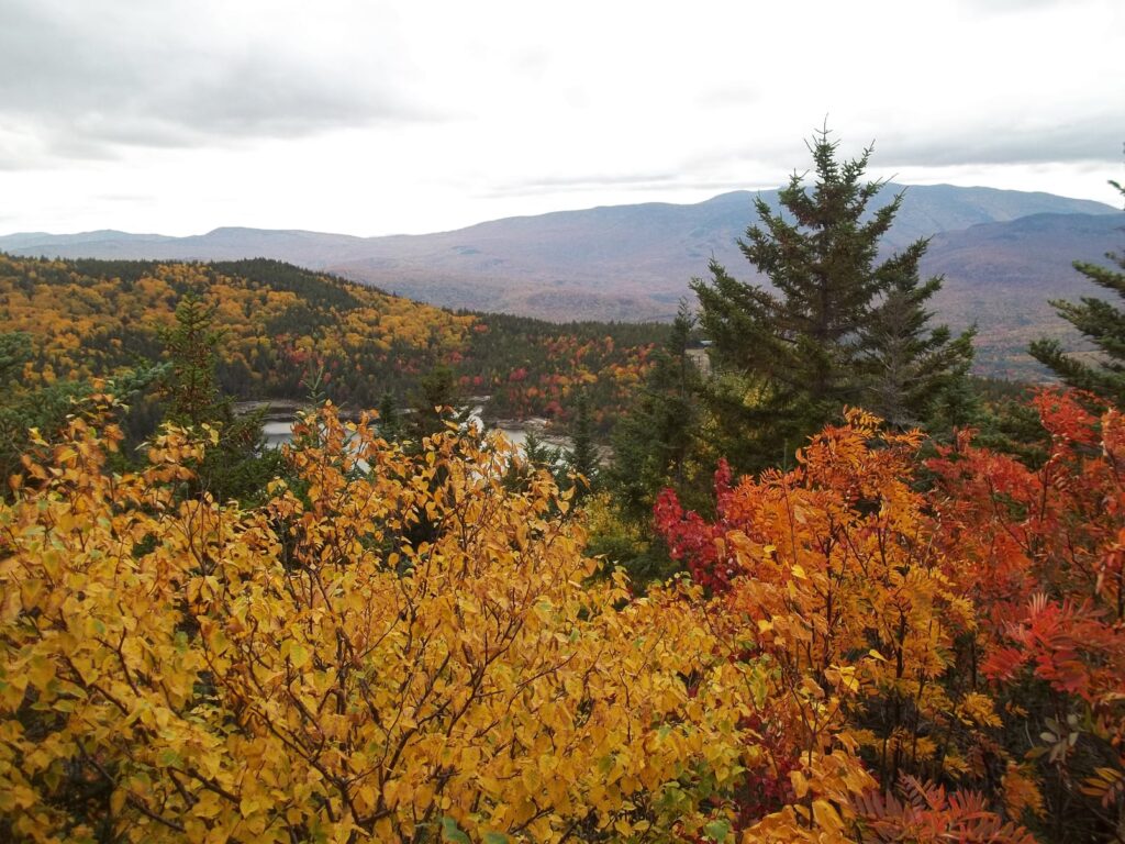 acadia national park in the fall