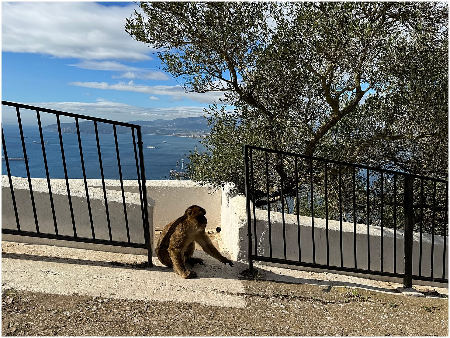 one day in gibraltar