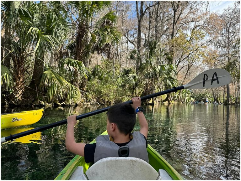 A Retreat in the Wild: Camping in Silver Springs Florida