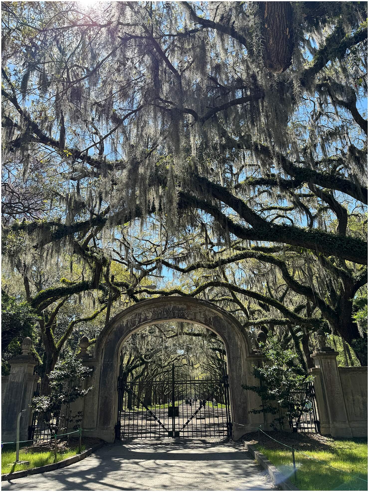 Historic Plantations in Savannah GA