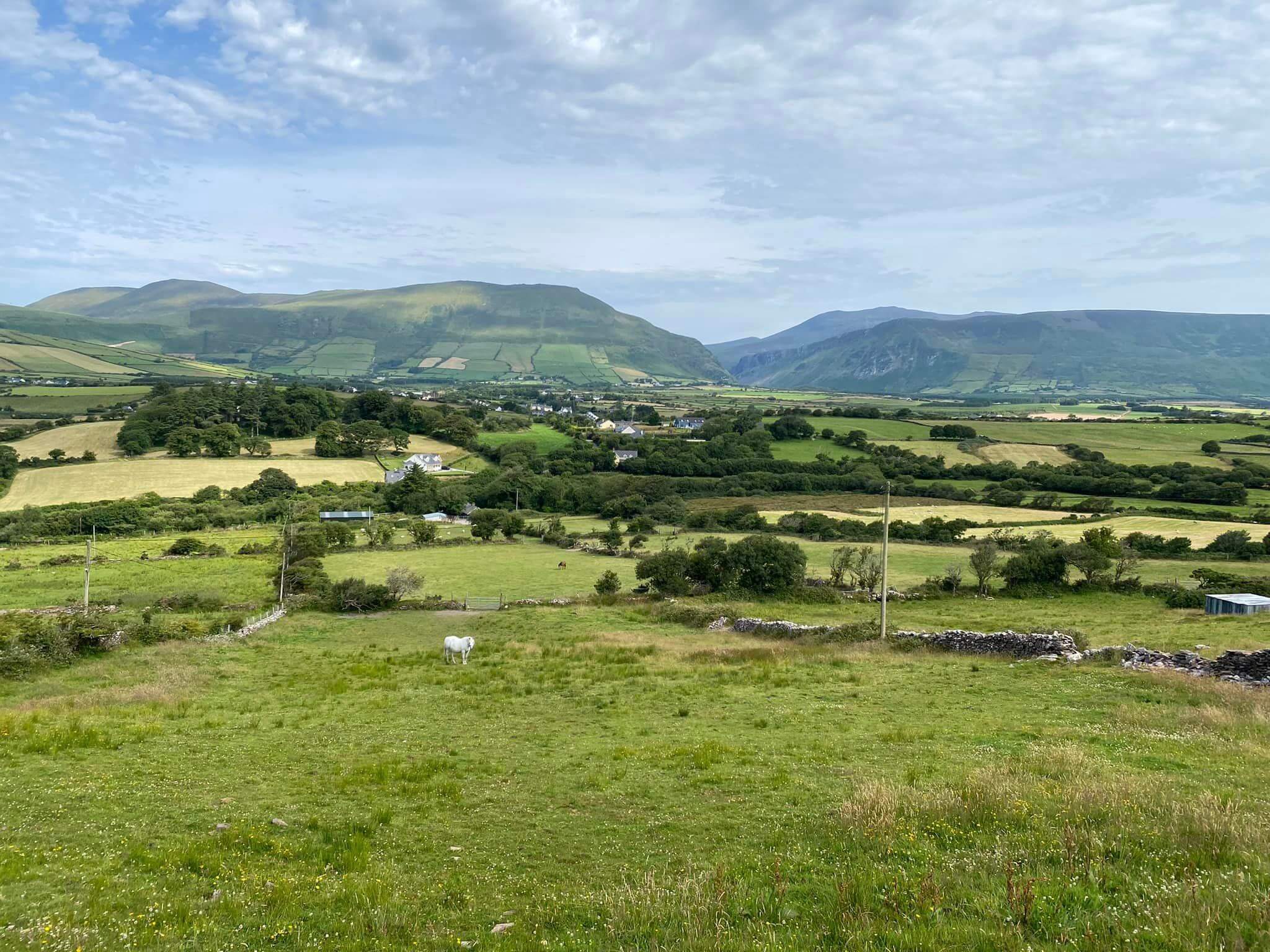 ireland vs scotland