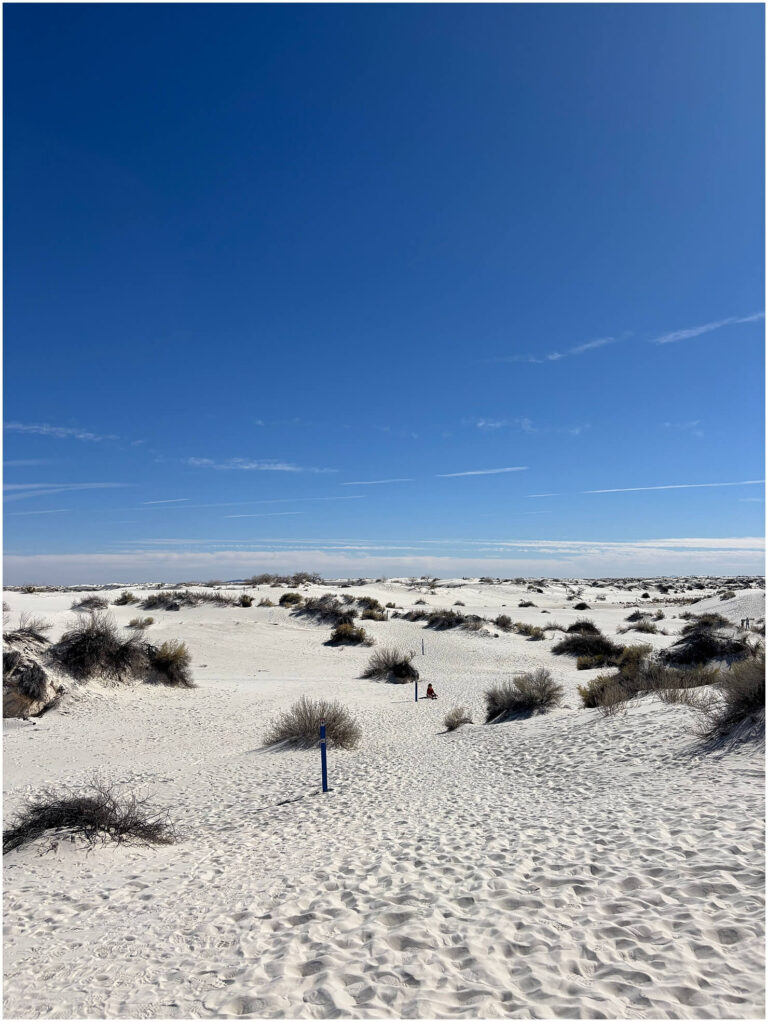 White Sands Camping: Best Spots Near the Park